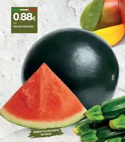 Superconti Anguria midi nera offerta
