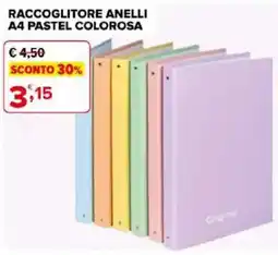 Iperal RACCOGLITORE ANELLI A4 PASTEL COLOROSA offerta