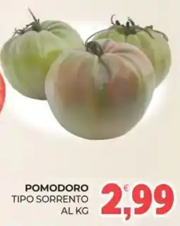 Eté POMODORO TIPO SORRENTO offerta