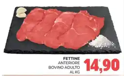 Eté Fettine Anteriore Bovino Adulto offerta