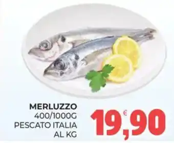 Eté MERLUZZO offerta