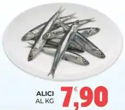 Eté ALICI offerta