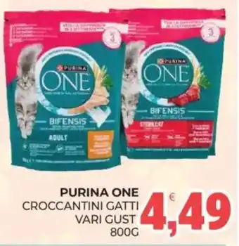 Eté Purina One Croccantini Gatti offerta
