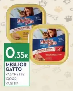 Proshop Miglior Gatto Vaschette offerta