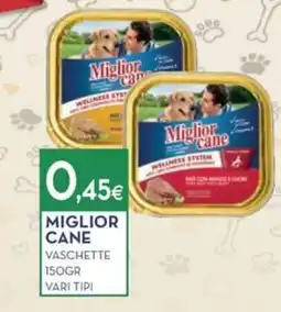 Proshop Miglior Cane Vaschette offerta