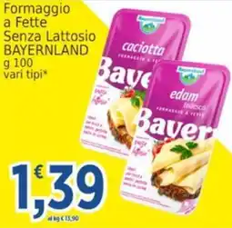 Market Ingross Formaggio a Fette Senza Lattosio BAYERNLAND offerta