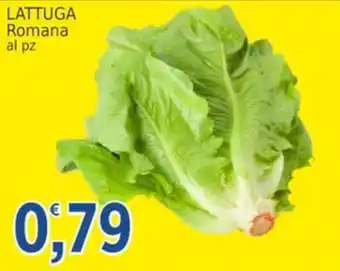 Market Ingross LATTUGA Romana offerta