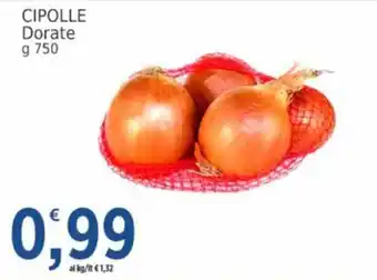 Market Ingross Cipolle Dorate offerta