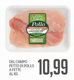 Supermercati Piccolo Del Campo Petto di Pollo offerta