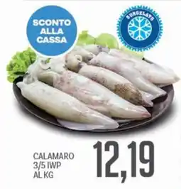 Supermercati Piccolo Calamaro 3/5 IWP offerta