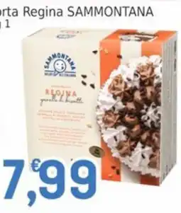Market Ingross Regina garofani di biscotti SAMMONTANA offerta