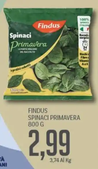 Supermercati Piccolo Findus Spinaci Primavera offerta