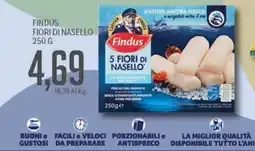 Supermercati Piccolo Findus 5 Fiori di Nasello offerta