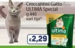 Market Ingross Crocchettini Gatto ULTIMA Special offerta