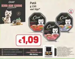 Market Ingross Patè Cesar offerta