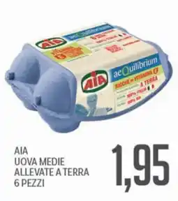 Supermercati Piccolo AIA UOVA MEDIE ALLEVATE A TERRA offerta