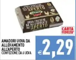 Supermercati Agorà AMADORI UOVA DA ALLEVAMENTO ALL'APERTO offerta