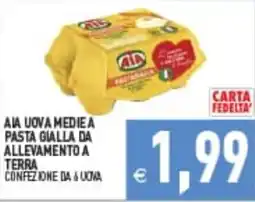 Supermercati Agorà AIA UOVA MEDIE A PASTA GIALLA DA ALLEVAMENTO A TERRA offerta