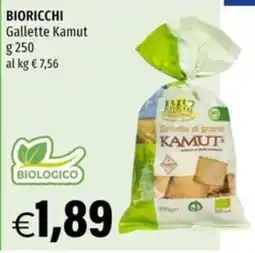 Hurrà Bioricchi Gallette Kamut offerta