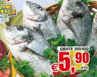 Pewex ORATE offerta