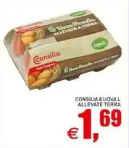 Pewex Consilia 6 uova l allevate terra offerta