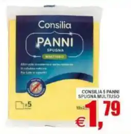 Pewex Consilia PANNI SPUGNA MULTIUSO offerta