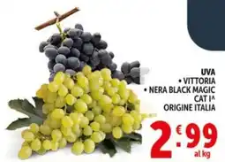 Deco Market UVA VITTORIA NERA BLACK MAGIC offerta