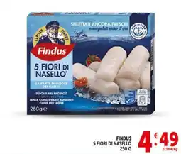 Deco Market Findus 5 Fiori di Nasello offerta