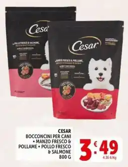 Deco Market CESAR BOCCONCINI PER CANI offerta
