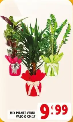 Deco Market MIX PIANTE VERDI offerta