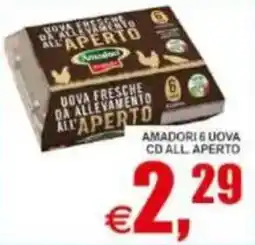 Pewex Uova fresche da allevamento all'aperto Amadori offerta