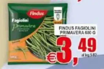 Pewex Findus Fagiolini Primavera offerta