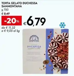 Bennet TORTA GELATO DUCHESSA SAMMONTANA offerta