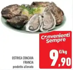 Conad Ostrica concava francia offerta