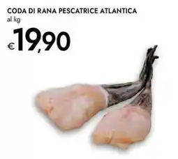 Bennet CODA DI RANA PESCATRICE ATLANTICA offerta