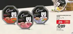 Bennet Alimento umido per cani Cesar offerta