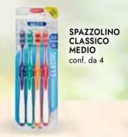 Bennet Spazzolino classico medio offerta