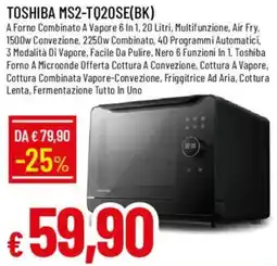 Galassia TOSHIBA MS2-TQ20SE(BK) offerta