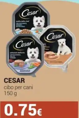 Tigotà Cesar cibo per cani offerta