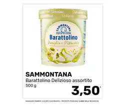 Esselunga Sammontana Barattolino Delizioso assortito offerta