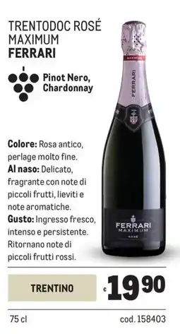 Metro Trentodoc rosé maximum Ferrari offerta