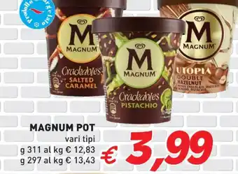 MAGNUM POT