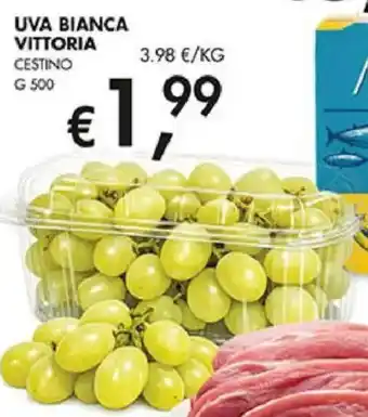 Coal Uva bianca vittoria offerta
