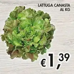 Coal LATTUGA CANASTA offerta