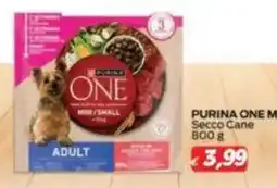 Coal Purina One Secco Cane offerta