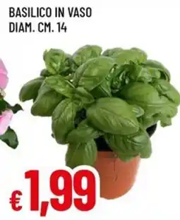 Famila Basilico in vaso offerta