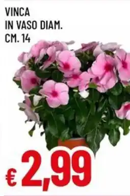 Famila VINCA offerta
