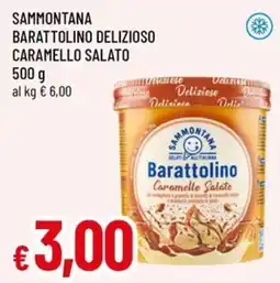 Famila Sammontana Barattolino Delizioso Caramello Salato offerta