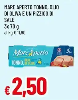 Famila Mare Aperto Tonno, Olio di Oliva e un Pizzico di Sale offerta
