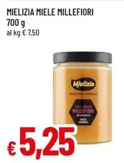 Famila Mielizia Miele Millefiori offerta